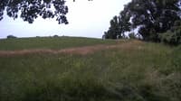 The field cam, Jul 7, 2023 at 9:22am