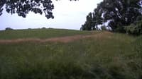 The field cam, Jul 7, 2023 at 9:30am