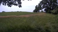 The field cam, Jul 7, 2023 at 9:33am