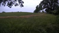 The field cam, Jul 7, 2023 at 11:57am
