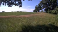 The field cam, Jul 8, 2023 at 8:19am