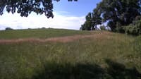 The field cam, Jul 8, 2023 at 8:49am