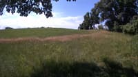 The field cam, Jul 8, 2023 at 8:53am
