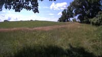 The field cam, Jul 8, 2023 at 9:17am