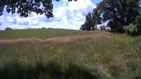 The field cam, Jul 8, 2023 at 10:21am