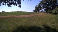 The field cam, Jul 9, 2023 at 8:53am