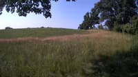 The field cam, Jul 10, 2023 at 6:54am