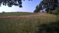 The field cam, Jul 10, 2023 at 7:00am