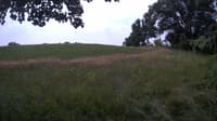 The field cam, Jul 10, 2023 at 10:01am