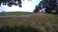 The field cam, Jul 10, 2023 at 10:21am