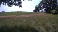 The field cam, Jul 10, 2023 at 10:29am