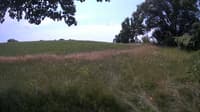 The field cam, Jul 10, 2023 at 10:40am