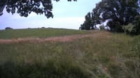 The field cam, Jul 10, 2023 at 10:42am
