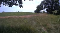 The field cam, Jul 10, 2023 at 11:02am