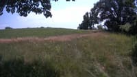 The field cam, Jul 10, 2023 at 12:01pm