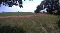 The field cam, Jul 10, 2023 at 11:44am