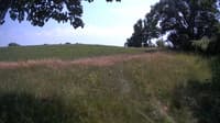 The field cam, Jul 10, 2023 at 12:09pm