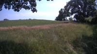 The field cam, Jul 10, 2023 at 12:11pm