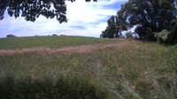 The field cam, Jul 11, 2023 at 10:54am