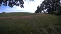 The field cam, Jul 12, 2023 at 12:00pm