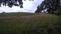 The field cam, Jul 13, 2023 at 7:26am