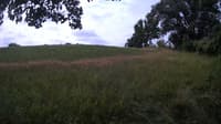 The field cam, Jul 13, 2023 at 7:48am