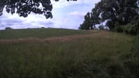 The field cam, Jul 13, 2023 at 8:07am