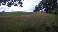 The field cam, Jul 13, 2023 at 8:12am
