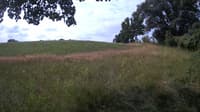 The field cam, Jul 13, 2023 at 8:13am