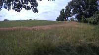 The field cam, Jul 13, 2023 at 8:35am