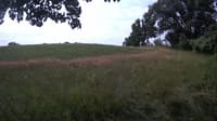The field cam, Jul 13, 2023 at 8:59am