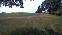 The field cam, Jul 13, 2023 at 9:07am