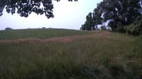 The field cam, Jul 14, 2023 at 9:02am