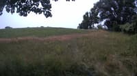 The field cam, Jul 14, 2023 at 10:14am