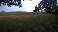 The field cam, Jul 15, 2023 at 1:43pm