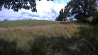 The field cam, Jul 16, 2023 at 12:57pm