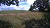 The field cam, Jul 17, 2023 at 12:41pm