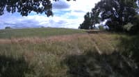 The field cam, Jul 17, 2023 at 12:42pm