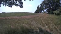 The field cam, Jul 18, 2023 at 9:39am