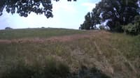 The field cam, Jul 18, 2023 at 9:56am
