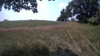 The field cam, Jul 18, 2023 at 9:58am