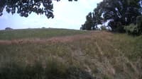 The field cam, Jul 18, 2023 at 10:27am
