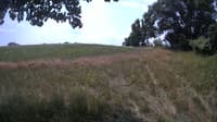 The field cam, Jul 18, 2023 at 10:32am