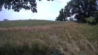 The field cam, Jul 18, 2023 at 10:34am