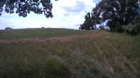 The field cam, Jul 19, 2023 at 9:54am