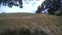 The field cam, Jul 19, 2023 at 9:55am