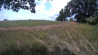 The field cam, Jul 19, 2023 at 9:56am