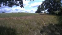 The field cam, Jul 20, 2023 at 12:22pm