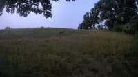 The field cam, Jul 23, 2023 at 6:40am