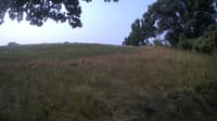 The field cam, Jul 24, 2023 at 7:29am